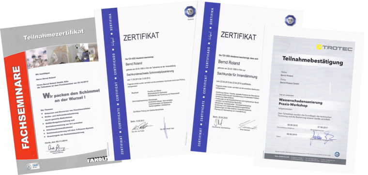 TÜV SÜD zertifizierter Experte zur Sachkunde für Innendämmung und Schimmelpilzsanierung
