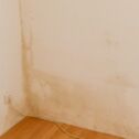 Schimmelsanierung - Schimmelbeseitung mit nachhaltigen Sanierungsmaßnahmen